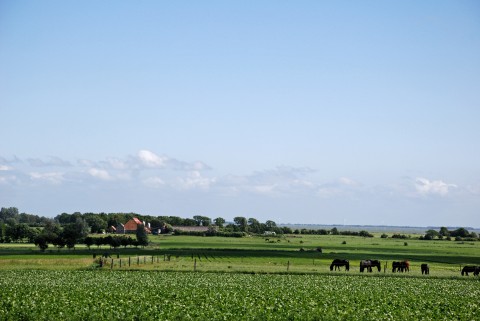 Zuidwest Fryslân